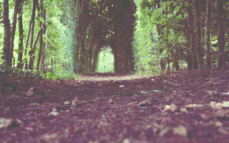 Building Scalable Enterprise SaaS